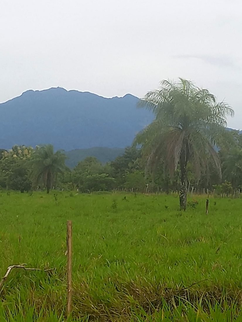 Vista hacia la montaña desde el entorno de Altos Del Caldera