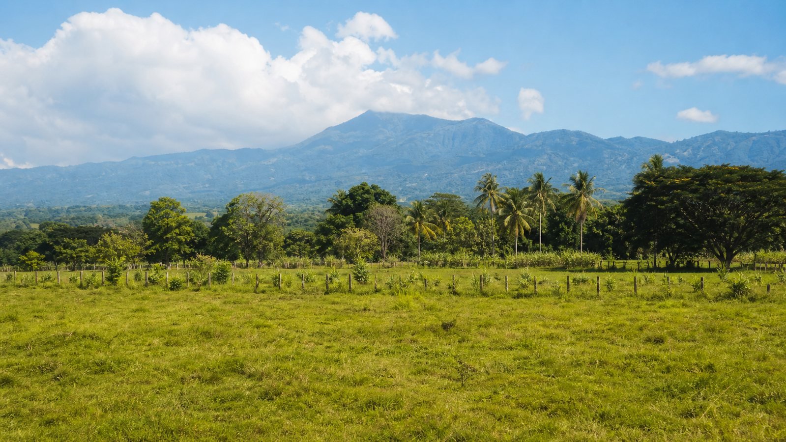 Campo verde en Caldera con montañas al fondo